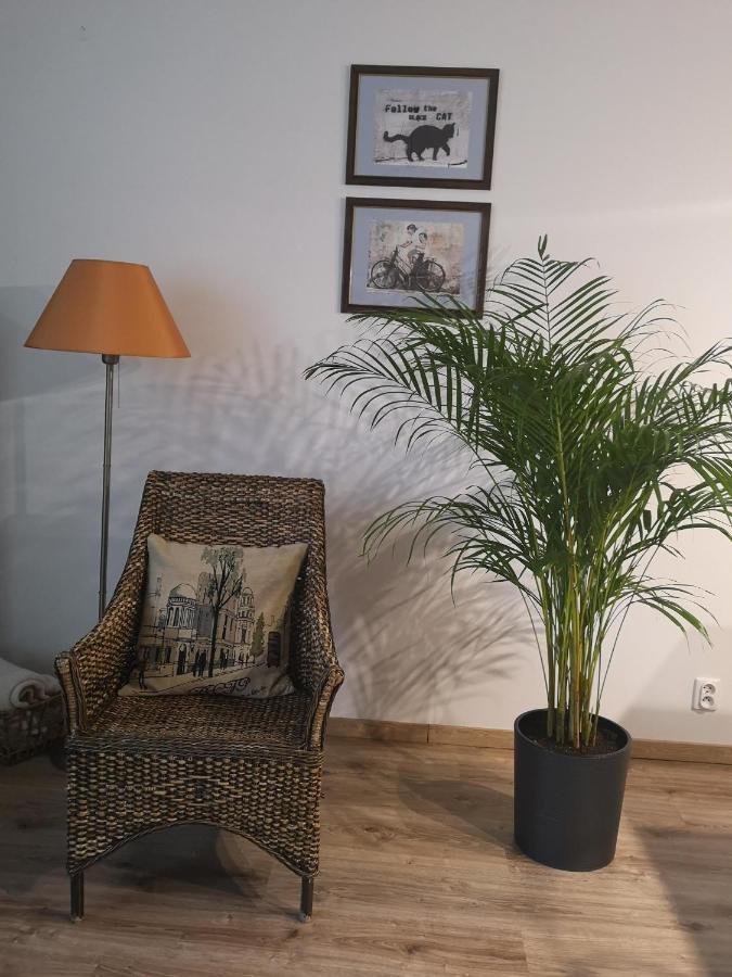 Villa Garden Paryski Olsztyn  Luaran gambar