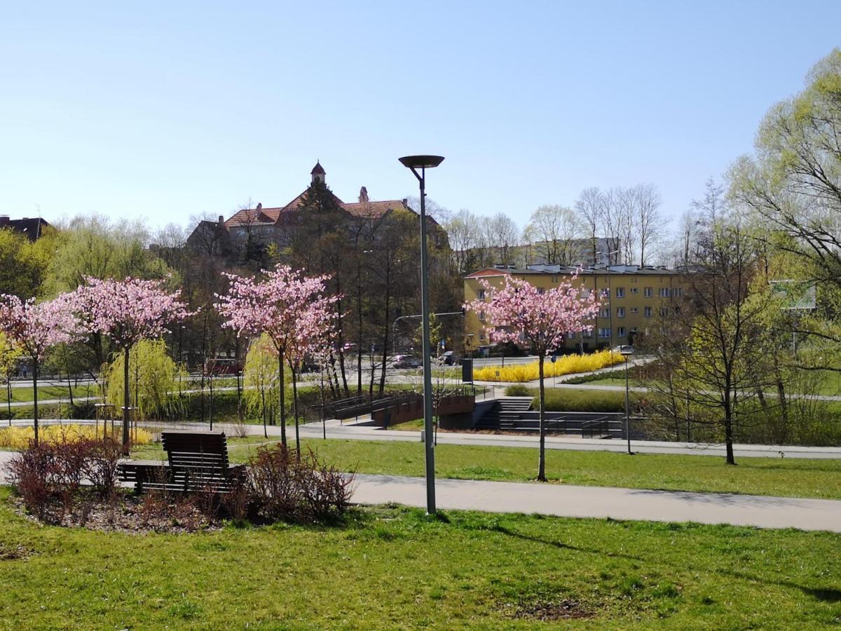 Villa Garden Paryski Olsztyn  Luaran gambar